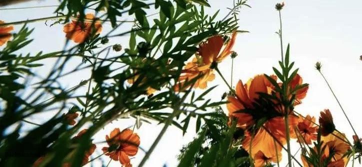 روز کسل کننده