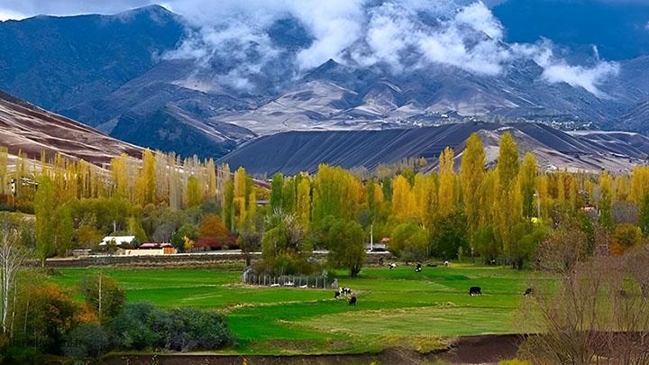 سفر یک روزه سفر یک روزه