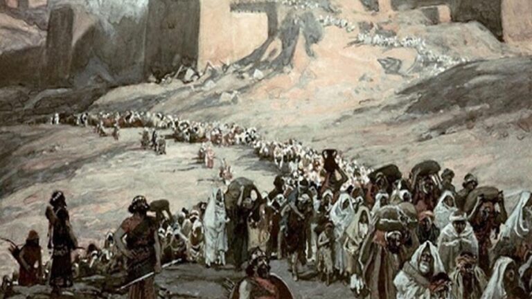 حضرت یوسف (ع)