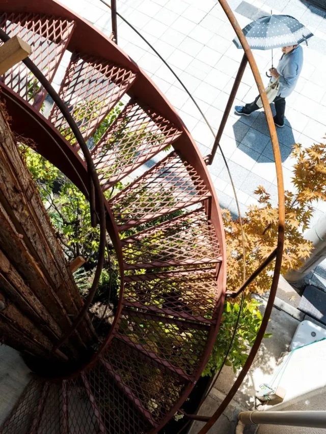 زمین 39 متری