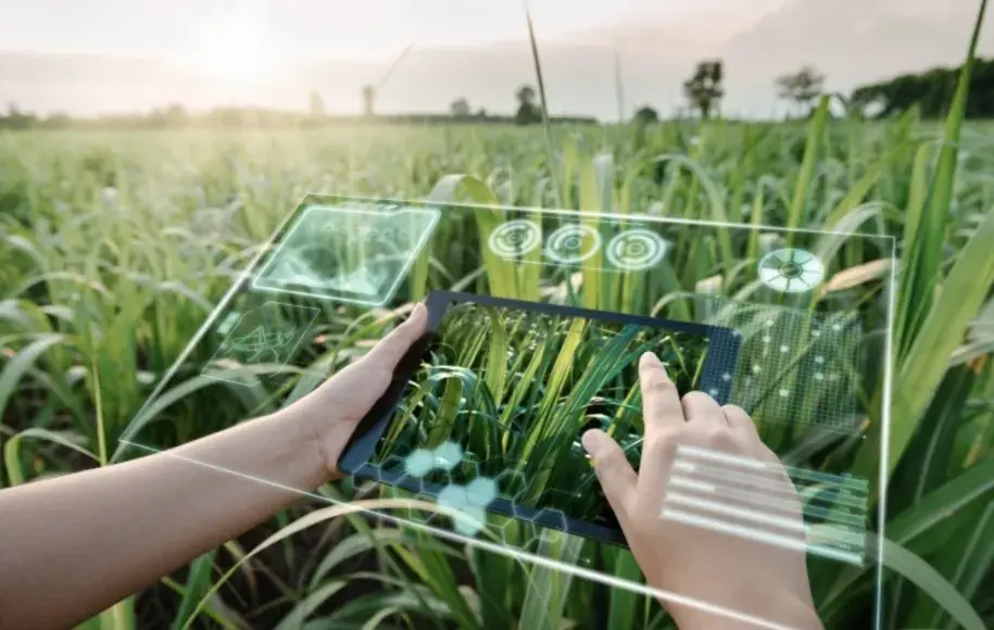 انقلاب در کشاورزی با هوش مصنوعی