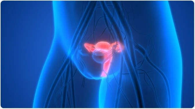 زخم دهانه رحم