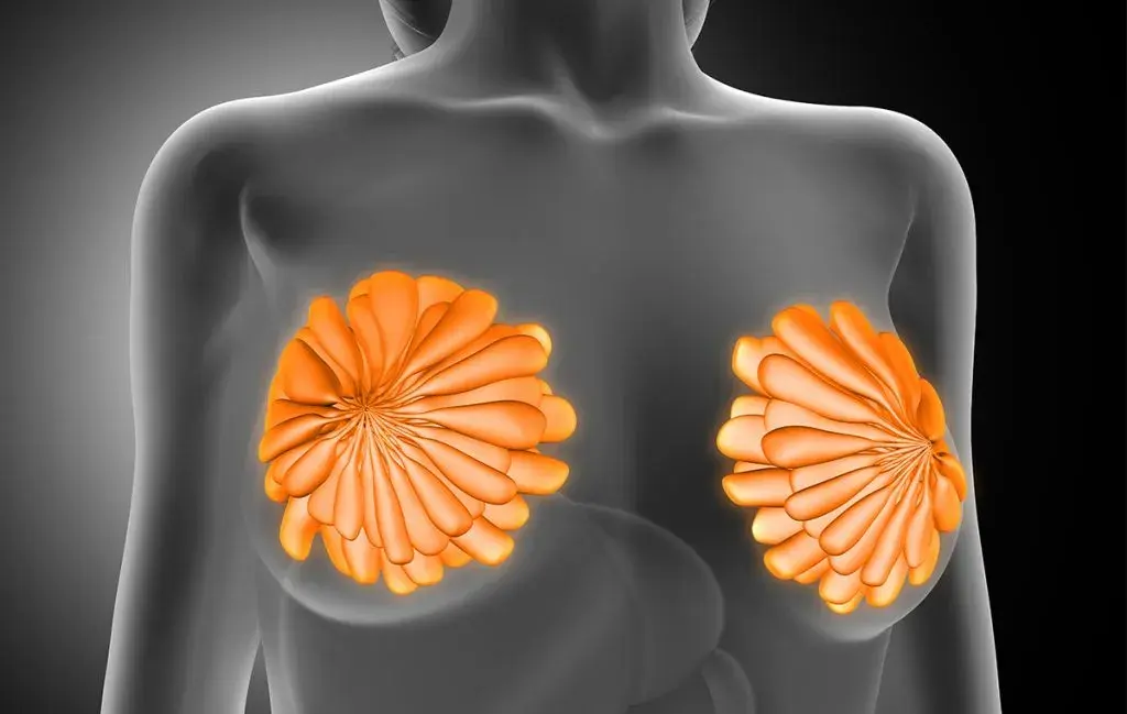 ماموپلاستی چیست؟ (2)