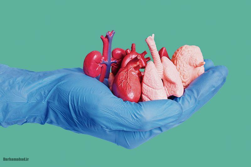 اهدای عضو اهدای عضو