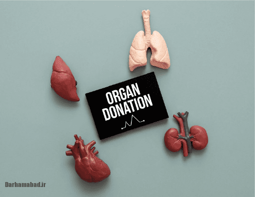 اهدای عضو