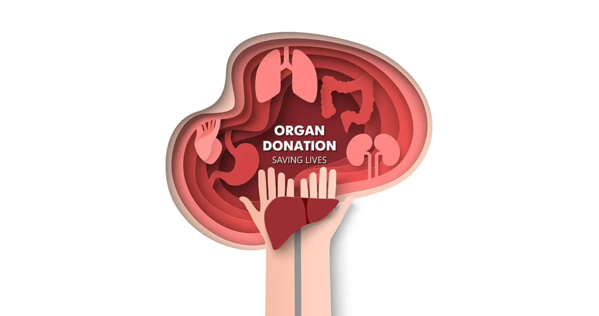 اهدای عضو اهدای عضو